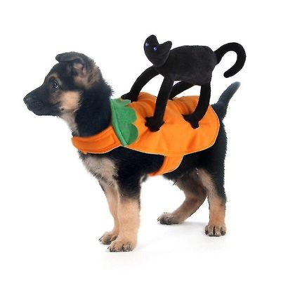 Halloween pet kat tøj til lille hund tøj kjole op outfit cosplay sort kat kostume julefrokost kæledyr Orange M