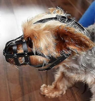 Vaalea nahkainen koiran kuono chihuahualle, Yorkshirenterrierille, minikannulle ja muille pienille koirille (luonnollinen Le Nahka