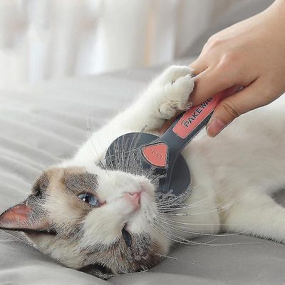 Pet Hair Special Needle Kam Kat Hund Kam Pet Hår Renere Rengøring og SkønhedSproduktergreen