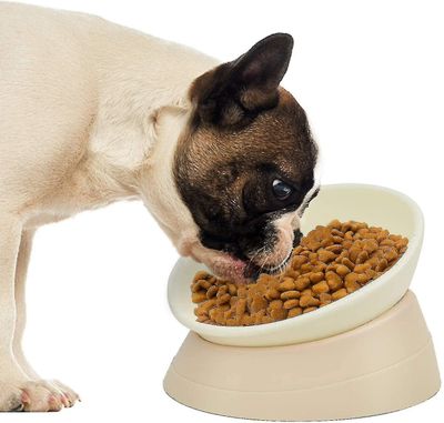 Fransk bulldoggmatskål, sned lutad mopsmatvattenskål halkfri husdjursmatare för Frenchie, Shih Tzu, platta hundar, katt