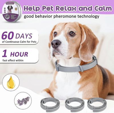 Rauhoittava kaulus koirille Kissat, säädettävä ahdistusta lievittävä feromoni rauhoittavat kaulukset 60 päivää Tehokas lievittää stressiä ja rentou...