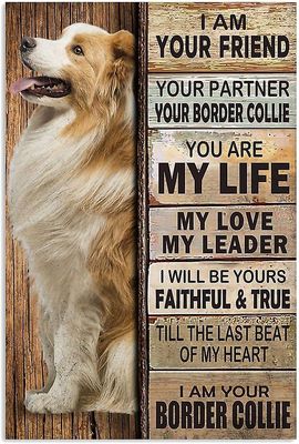 LINCMAN Border Collie Dog, Der var engang en pige, der virkelig elskede Border Collie, der var mig Metal Tin Tegn, Motiverende, 8x12inch Sign07