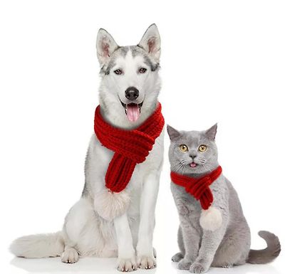 Handuo Hund Jul Strikket Tørklæde Rød Strik Tørklæder Kæledyr Hvalpe Kostume M