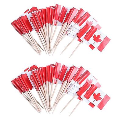 Mye 100 stk Mini tre tannpirker med flagg kompatibel med innredning av festfrukt bakverk - Canada
