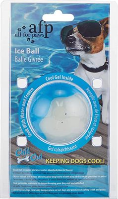All For Paws Kaikki tassuille Chill Out Ice Ball Large Dog Toy