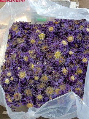 Topp 5a Blue Lotus tørkede blomster for pose pute fylling naturlig nymphaea bulk for stearinlys bryllup røkelse hjem duft gjør 25g Blue Lotus