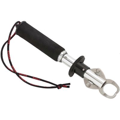 Rapala 50 lb mekaaninen mittakaavassa/kala tarttujan Musta