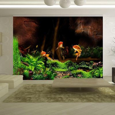 IlyDecor Carta da parati animali - Giochetti subacquei 300x210