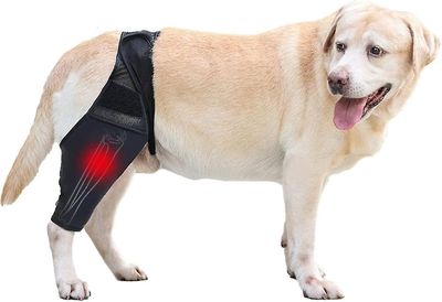 Hund knæbøjle, hund ben bøjle hoftestøtte bøjle til korsbåndsskader, ccl, patella dislokation eller slidgigt XL