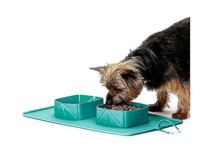 Yunshu Foldbar Travel Silikone Hund Cat Bowl Bærbare Pet Supplies grøn