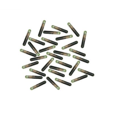 Pet ID Microchip Tags Standard Ntag eläinten tunnisteelle NFC RFID- 1 set of 10