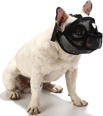 Tianzun Kuono koirille, joilla on litistetty kuono-säädettävä, hengittävä kuono koirille, joilla on lyhyt kuono, Bulldog-kuono anti-bite, pureskelu...
