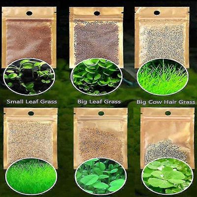 Siro 6 pakkaus akvaario kasvit Vesiruoho siemenet Kalasäiliö maisemakoriste