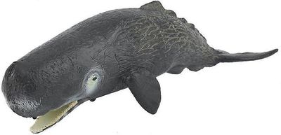 2024Merieläinmalli lelu, miniatyyri realistinen tiede muovi eläin siittiö valas malli nukke simulatio