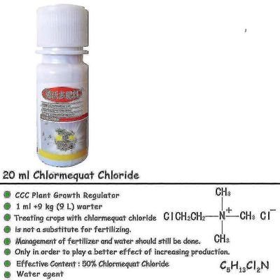 Syklonikloorimekvaatti kloridi tukilannoitetta kasvien kasvuun 4PCS