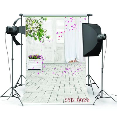 Abphqto 150x220cm Courtyard Photo Baggrunde Studio Baggrund Studio Props