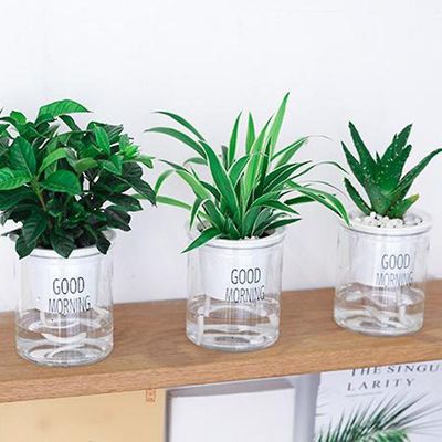 2stk PlantepotteGlas Vase Planter Terrarium Bord Desktop Hydroponics Bonsai Selvvandende Urtepottebeholder Til Boligindretning