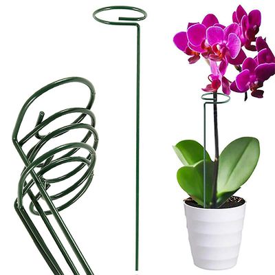 Mikasa Have urtepotte klatring Plante Støtte Ring Stake Flower Vækst Mørkegrøn 5PCS