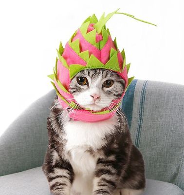 Handuo Pet Dragon Frugt Hund Funny Hat Cat Hætteklædte Halloween Kostume Åndbar Cap S