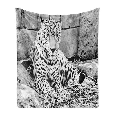 Svart og hvitt Soft Flannel Fleece Blanket, Jaguar Wild Big Cats Theme Feline med prikker Body Fur Jungle Tiger Leopard, koselig plysj for innendør...