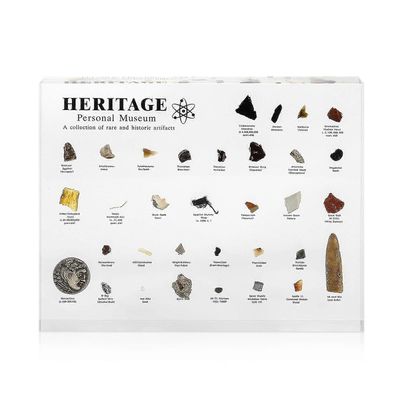 Heritage Personal Museum Mini Resin Luonnonhistoriallisen museon näyttely todellisella näytteellä