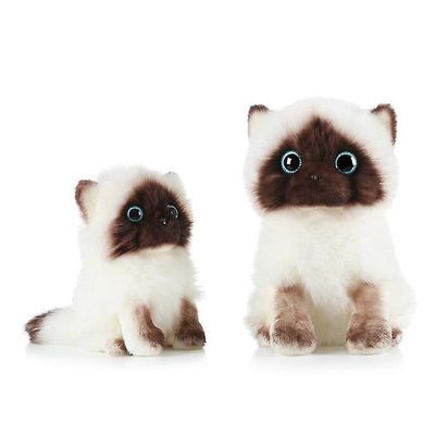 Wanyin Söpöt Ragdoll Cat -pehmoiset pehmolelut 20cm