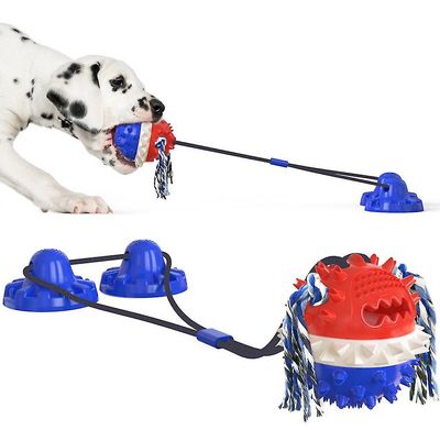 Pet Molar Legetøj Bite Resistente Kindter Ball