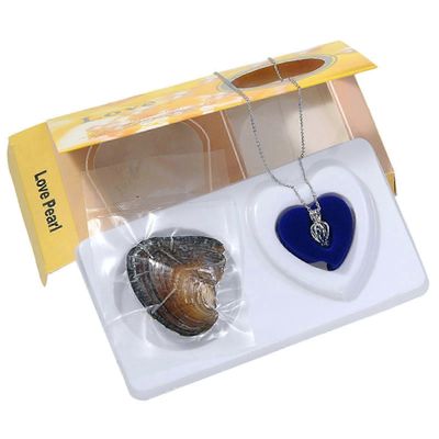 Salaperäinen helmilahjasetti Salaperäiset osterit Helmilahja Setti Suuri lahja pienille tytöille Puku