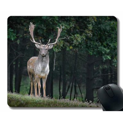 (220x180x3) Gaming Mouse Pad Design, hjorte, vilde dyresyede kanter