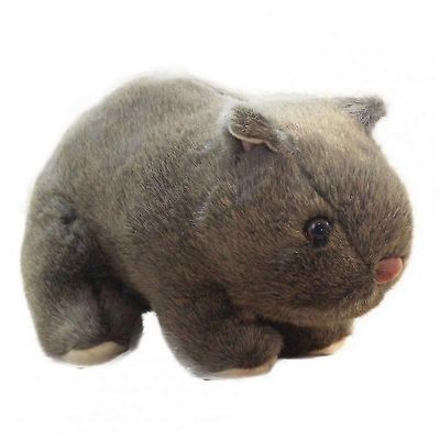 Puuvillainen käytännöllinen pehmolelu, valokuvarekvisiitta, pehmolelu, ihana ulkonäkö olohuoneeseen Ruskea 18cm