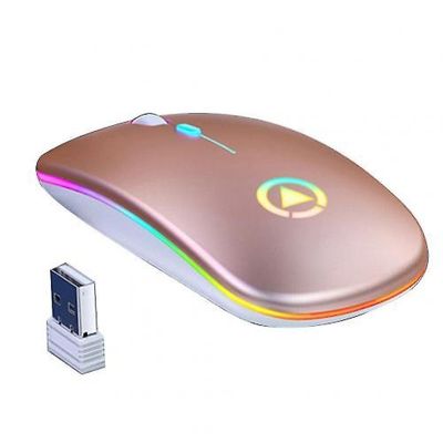 Caraele Led baggrundsbelyst genopladelig trådløs lydløs mus Usb Mouse ergonomisk optisk gaming mus stationær pc laptop mus steg guld