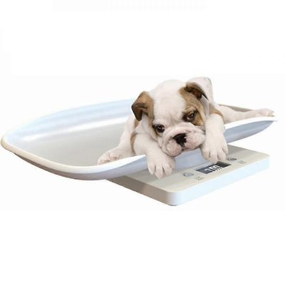 15kg elektroninen vaaka pienille eläimille, jotka painavat pieniä kissoja ja koiria