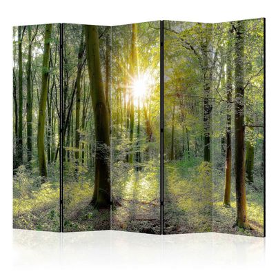 Artgeist Tilanjakaja - Metsäsäteet II 225x172 cm