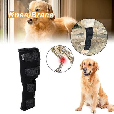 Dog Leg Brace kjæledyr hund ben brace hund hund hock felles wrap beskyttende kompresjon brace ermet L
