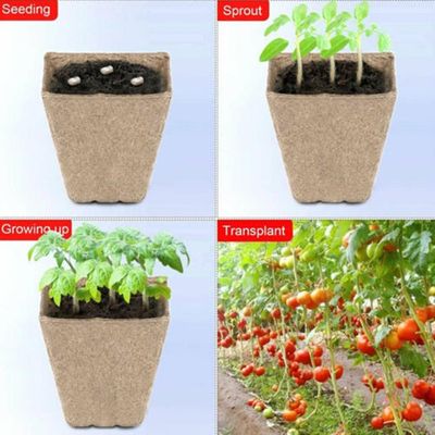 12 Gitterplanter Planteskole Papirpotter til dyrkning af forskellige planter Frugthave