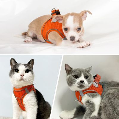 Trin i hundesele åndbar mesh vest reflekterende blød polstret til katte hvalpe kæledyr Orange L