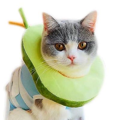 Yunshu Kat krave avocado bagel kat kæledyr hovedbeklædning anti-lick ring L