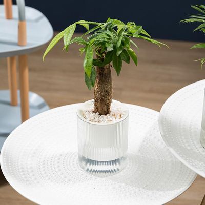 1stk Automatisk vanding Blomsterpotte Doven stilfuld vanding Plantepotte Moderne krukke Kæledyr Havepotter Vandbesparende