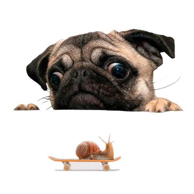 Rotyroya Funny Cute Pet Pug Dog Snail 3D Car Window Decals Home Wall Sticker Dekorasjon