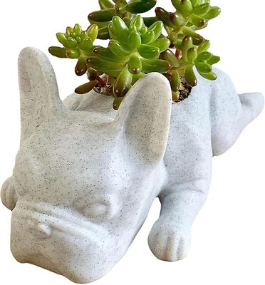 Tianzun Liten hund saftige planter, harpiks plante potte, fransk bulldog form blomst potte, mini valp plante planter S