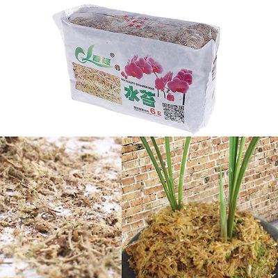 Unbrand 6l Sphagnum Moss Fuktighetsgivende organisk gjødsel for orkidé Phalaenopsis Fargerike one size