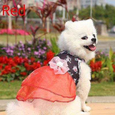 Witdreamer Sommer Hund Tøj Kat Hanbok Pet Supplies Hund Floral Nederdel Teddy Dress Rød 2XL