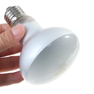 Uva + uvb Matelijalamppu Lamppu Kilpikonna Basking UV-lamput LämmitysLamppu Sammakkoeläimet Liskot Lämpötilansäädin 60W