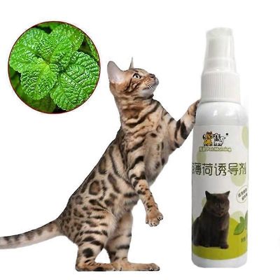 Herbal Cat Joy, kissanminttusuihke kissoille, kissanminttusuihke sisäkissoille