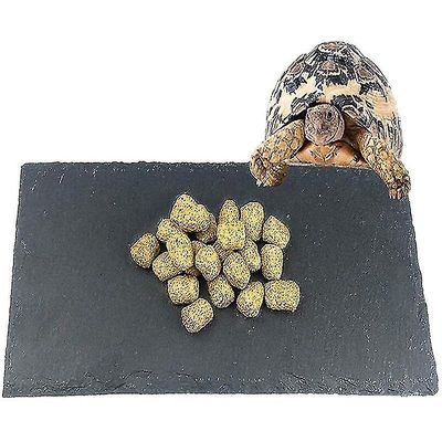 Pet skildpadde fodring parabol, Natural Rock Reptile Food Bowl Landskab Habitat Decor For Turtle Lizard