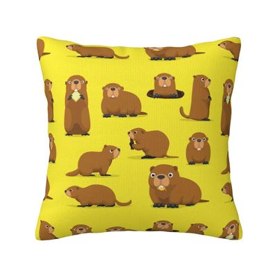 Groundhogs Marmot sarjakuvakuvio heittää tyynynpäälliset koristeellinen tyynyliina tyynynpäällinen kotisohva vuodesohva sisätiloissa 18 x 18 tuumaa