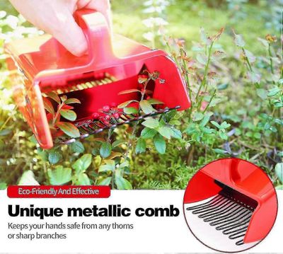 Marjanpoimija metallikammalla ja mukavalla kahvalla helpottaa marjankorjuuta