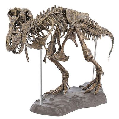 Tyrannosaurus Rex luuranko dinosaurus eläinten keräilijä sisustus malli lelu kuten näytä