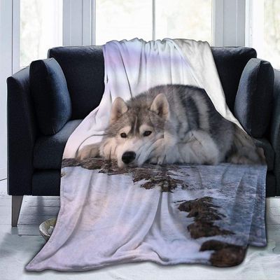 Flanell Fleece Kast Teppe, Siberian Husky Trist ved solnedgang Varm koselig Perfekt kaste for alle årstider For sofa 60x50in 150x125cm