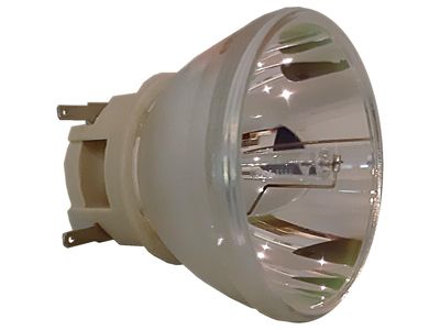 PHILIPS projektorlampa UHP 240-170W 0.8 E20.7 Fusion Air (TOP 461 / 491) för olika projektorer